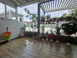 West Coast Drive (D5), Terrace #515585711